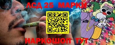 apvp Пенза