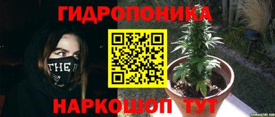 apvp Пенза