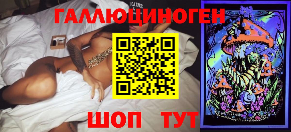 Псилоцибиновые грибы Psilocybine cubensis Унеча
