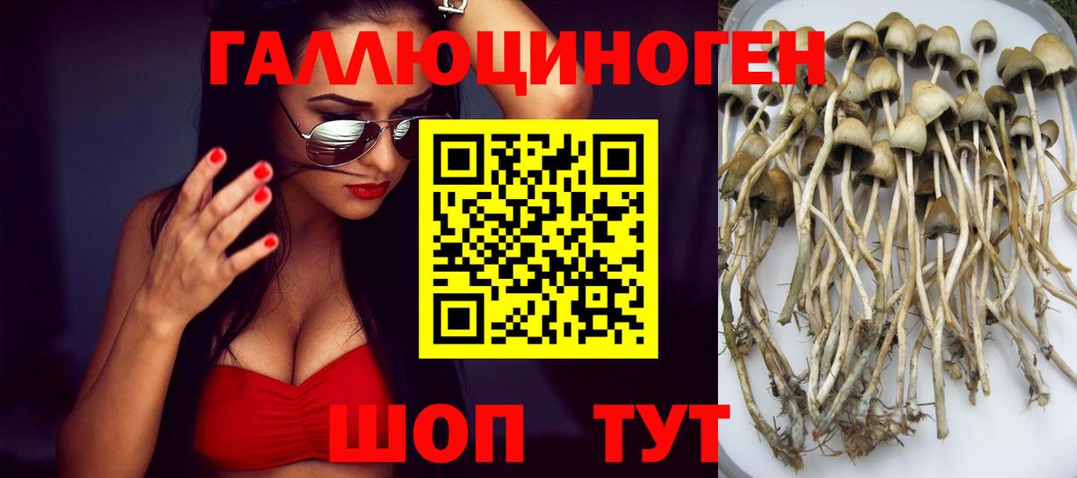 Галлюциногенные грибы прущие грибы  Галлюциногенные грибы Psilocybine cubensis  Вход с VPN  Унеча 