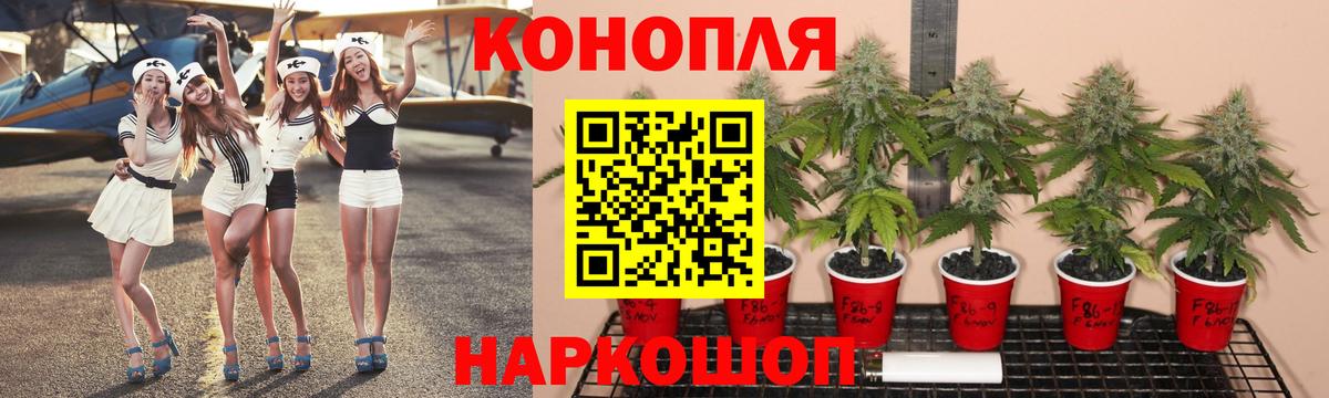 Конопля White Widow  Бошки Шишки VHQ  Конопля THC 21%  Бошки марихуана ГИДРОПОН  Вход с VPN  Унеча 